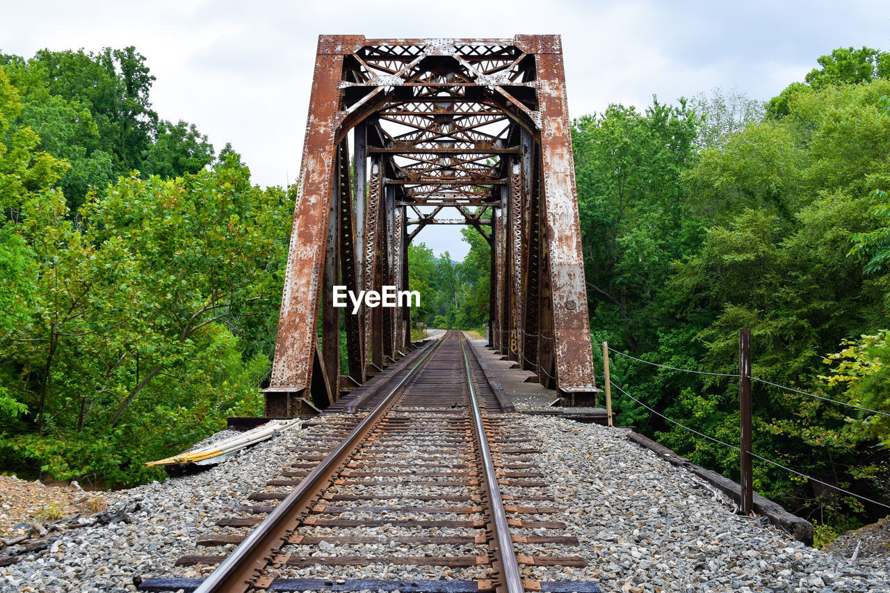 Railway bridge amidst trees in forest