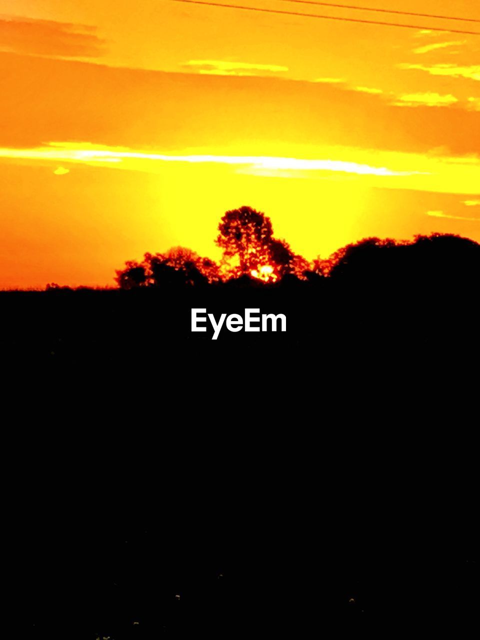 SCENIC VIEW OF SILHOUETTE TREES AGAINST SKY AT SUNSET