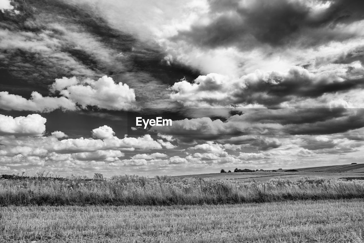 SCENIC VIEW OF LAND AGAINST SKY