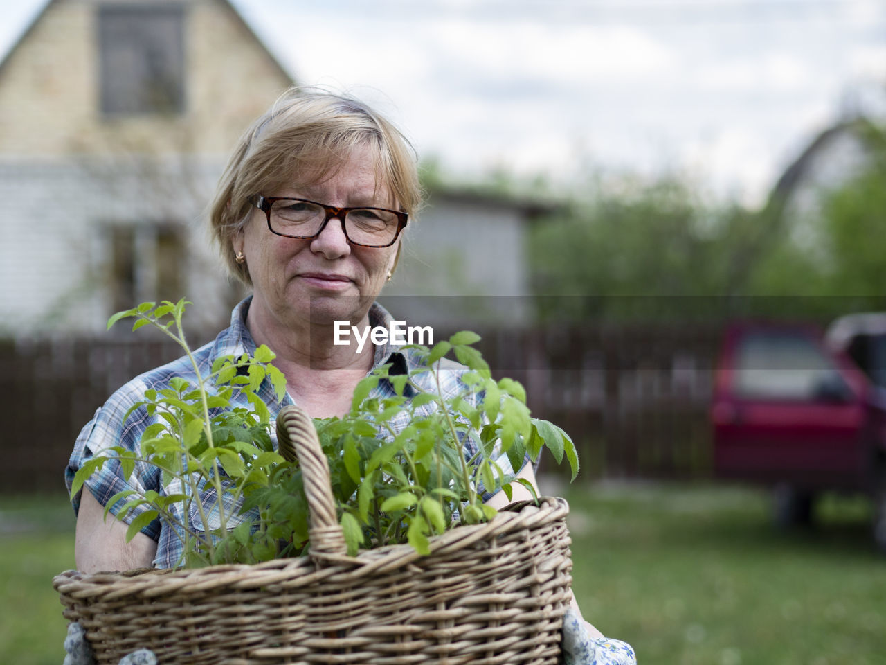 Senior caucasian woman holding a basket with tomato seedlings in the garden of a country house