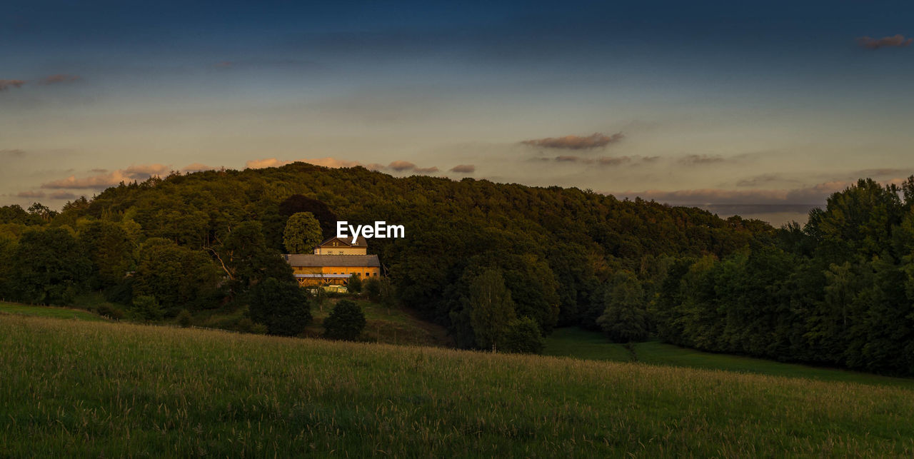 Scenic view of field against sky during sunset