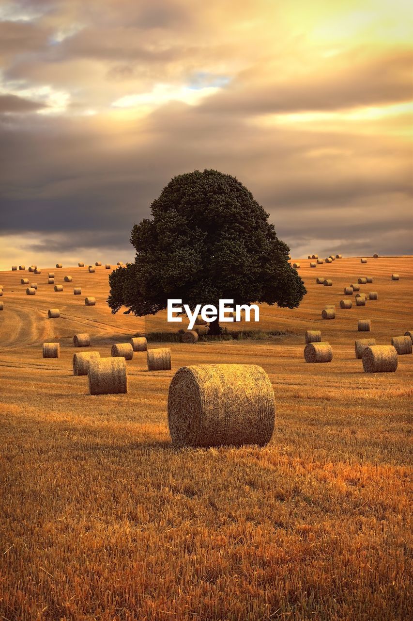 Hay bales on field against sky during sunset