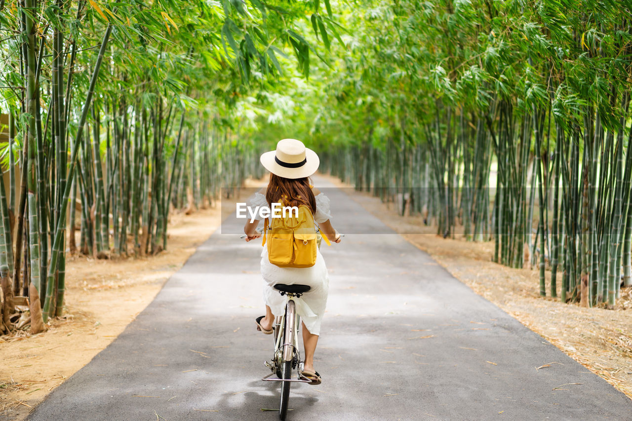 REAR VIEW OF MAN RIDING BICYCLE