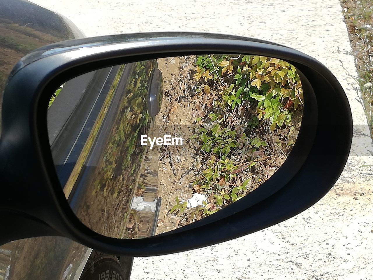 REFLECTION OF TREE ON SIDE-VIEW MIRROR OF CAR