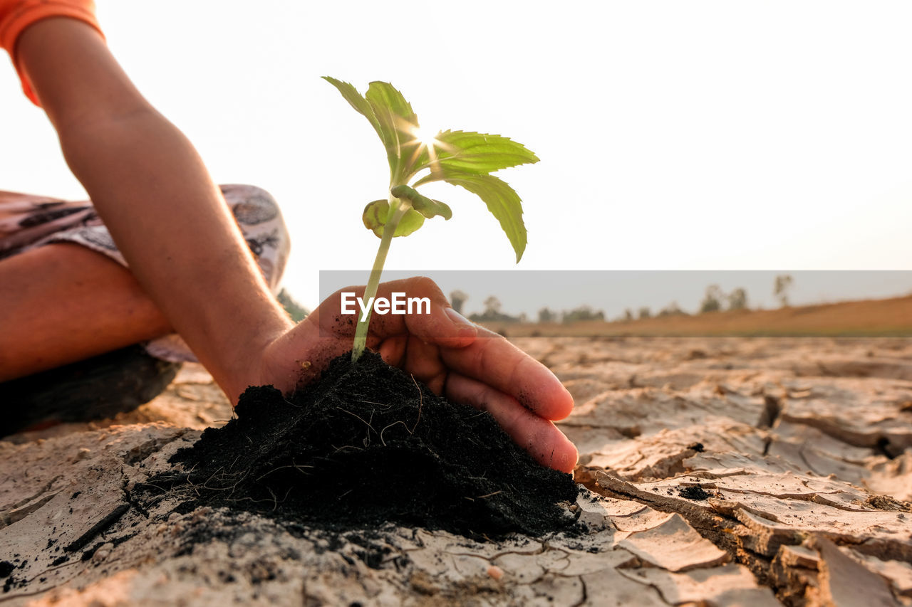 Low section of person planting against sky