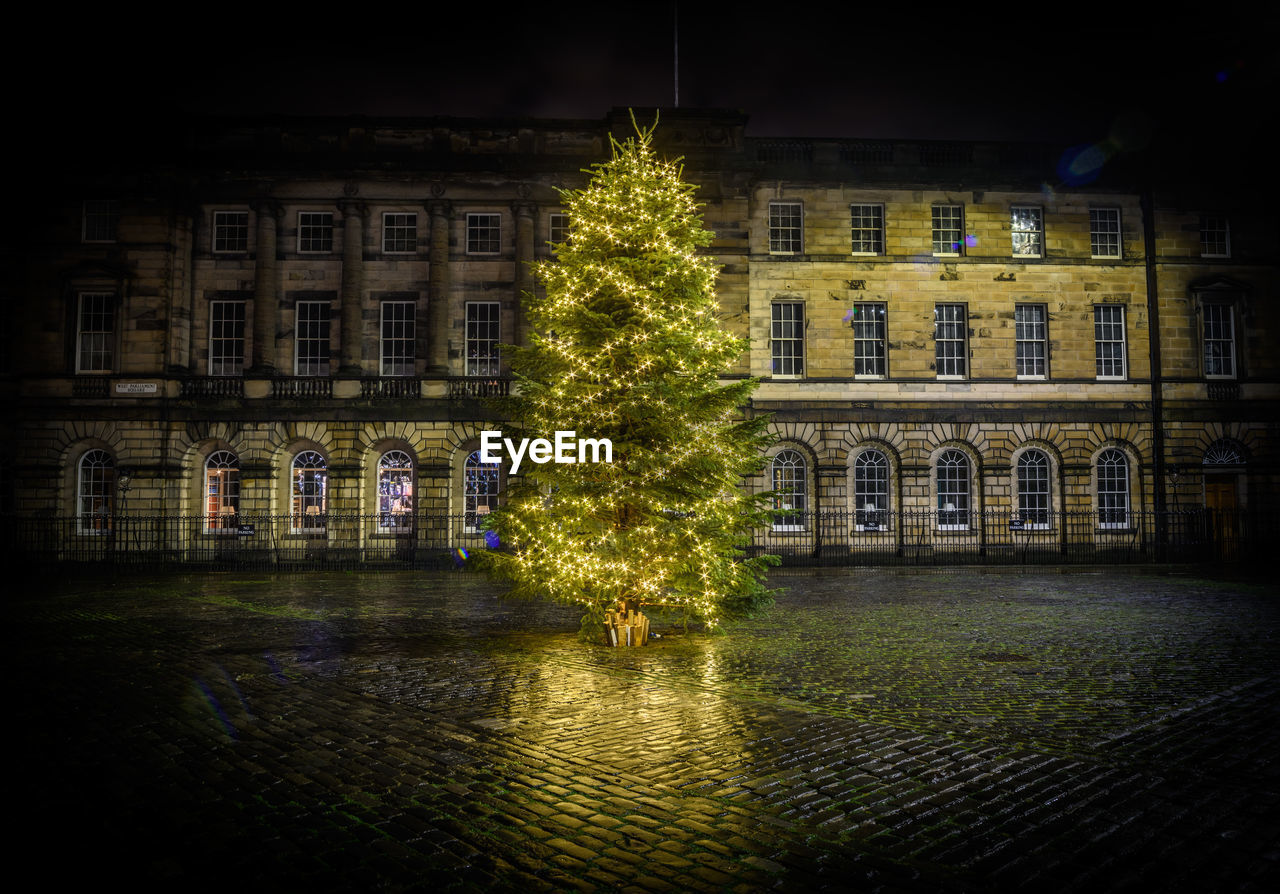 Illuminated christmas tree by building in city at night