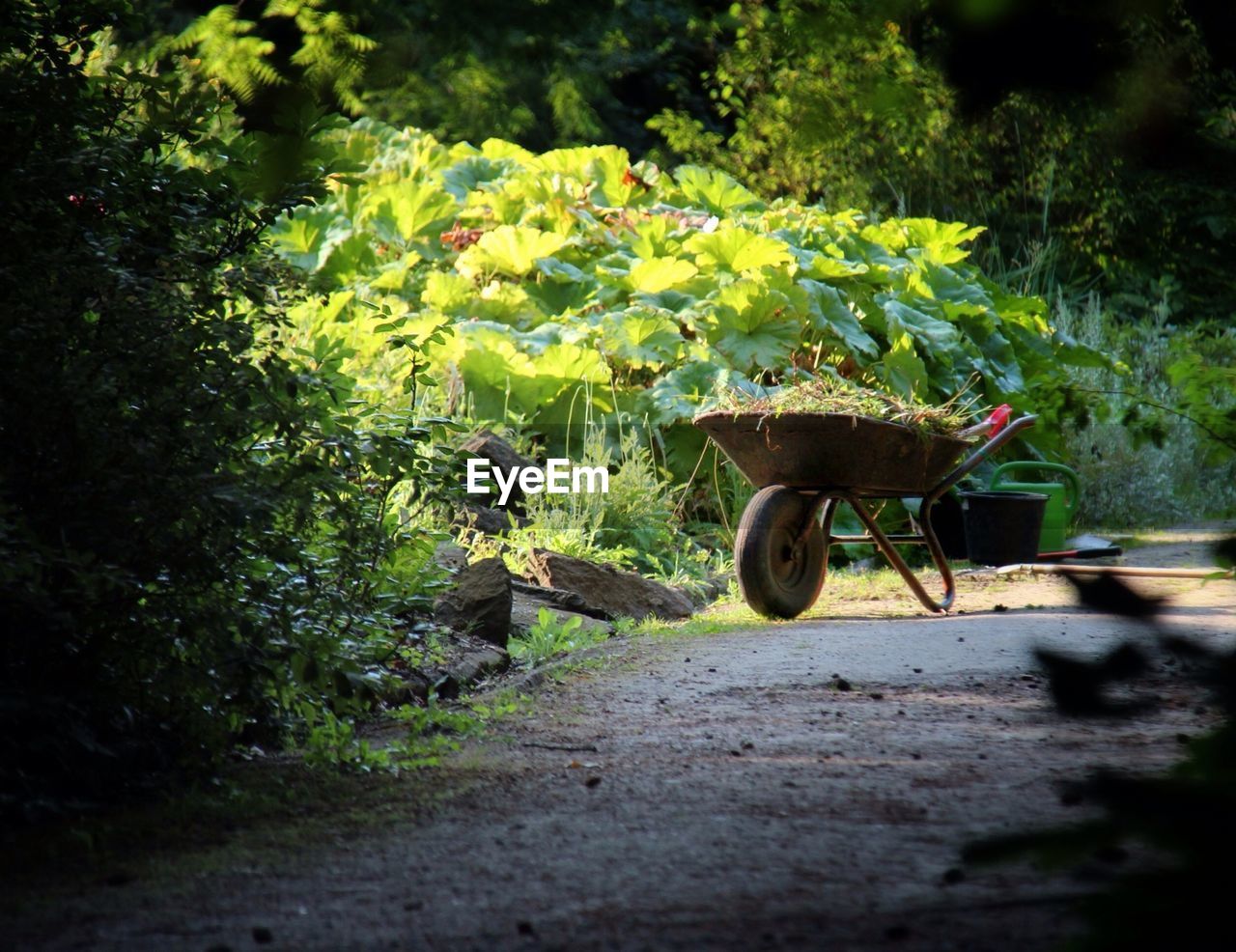 View of wheelbarrow on footpath