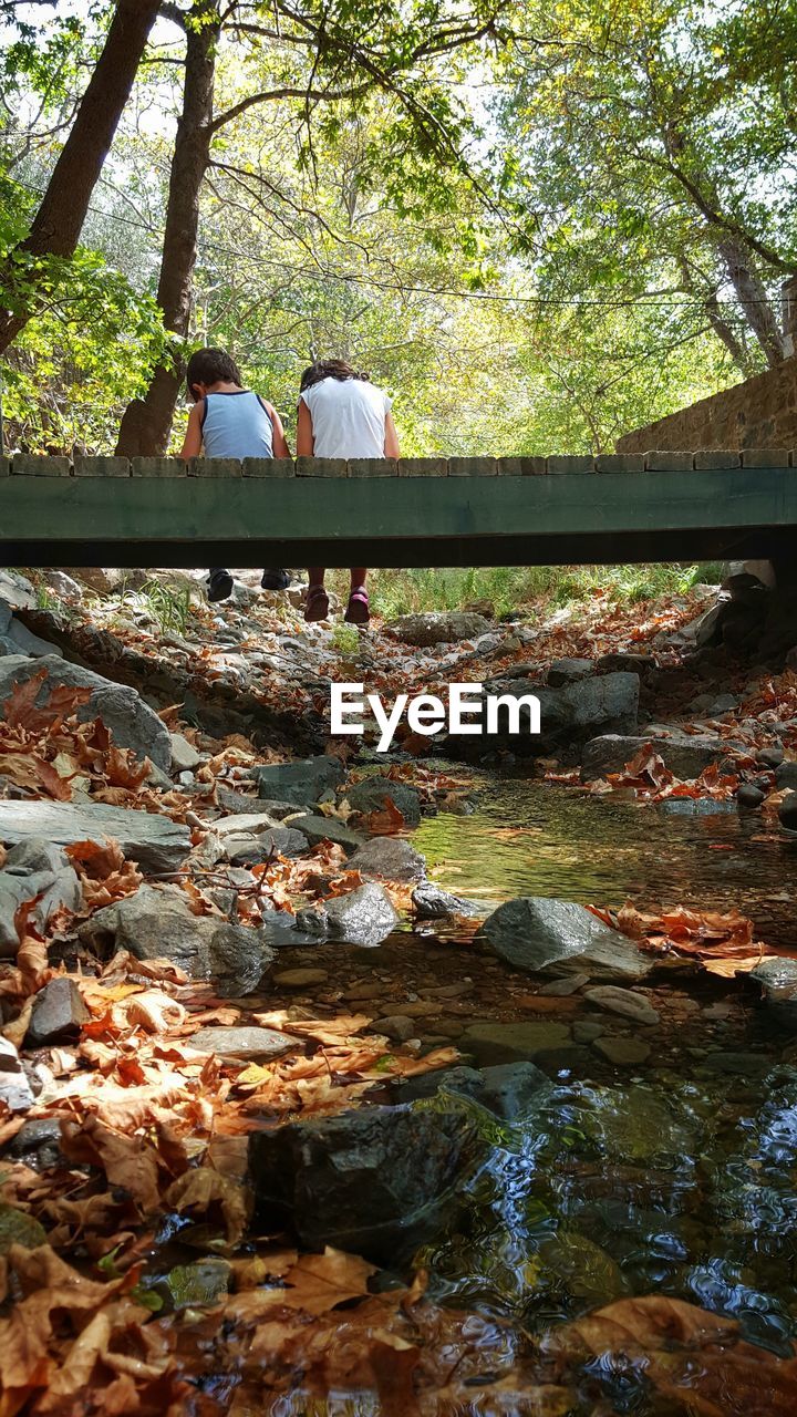 Rear view of boy and girl sitting on footbridge over river in forest
