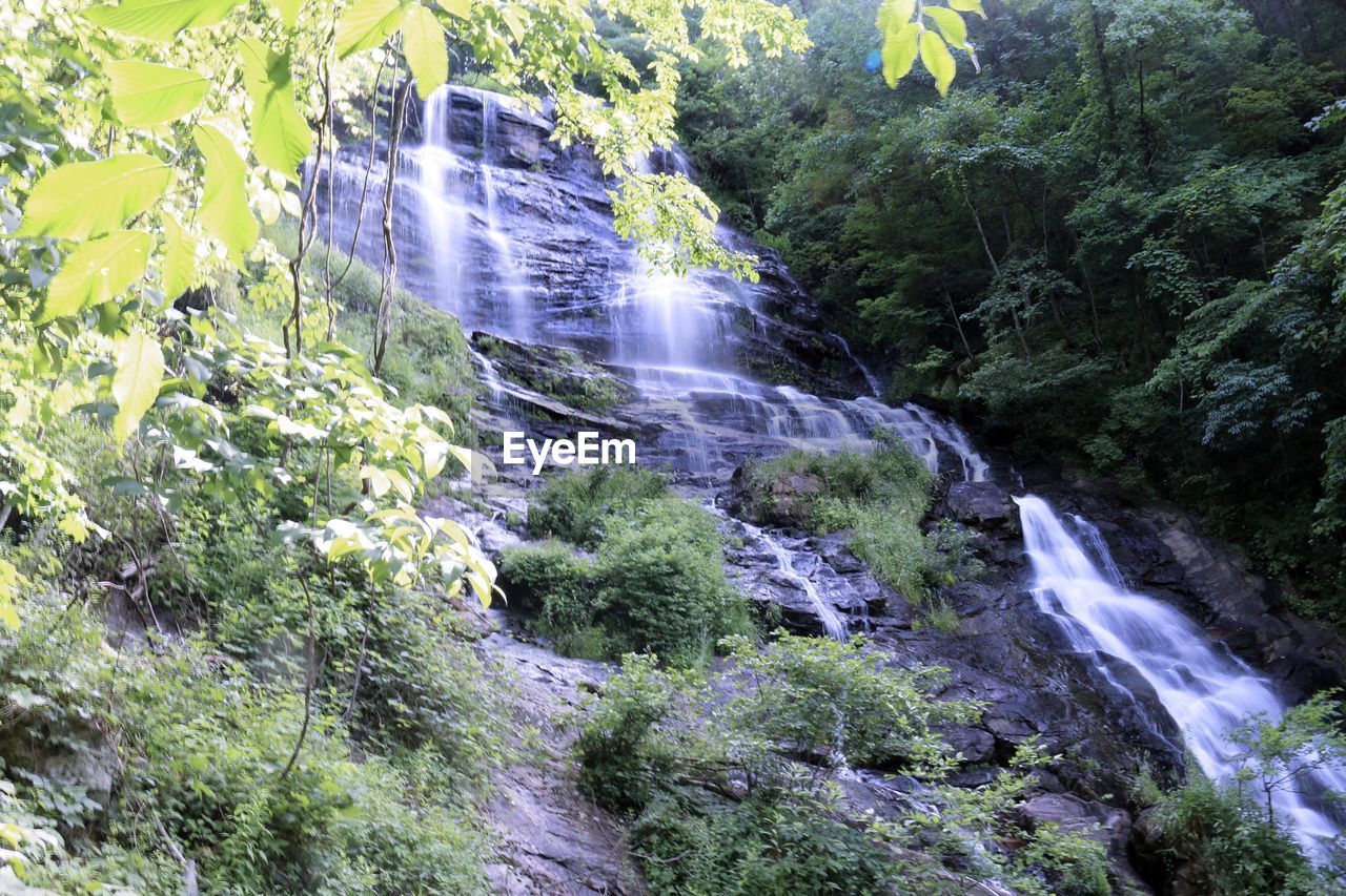 SCENIC VIEW OF WATERFALL