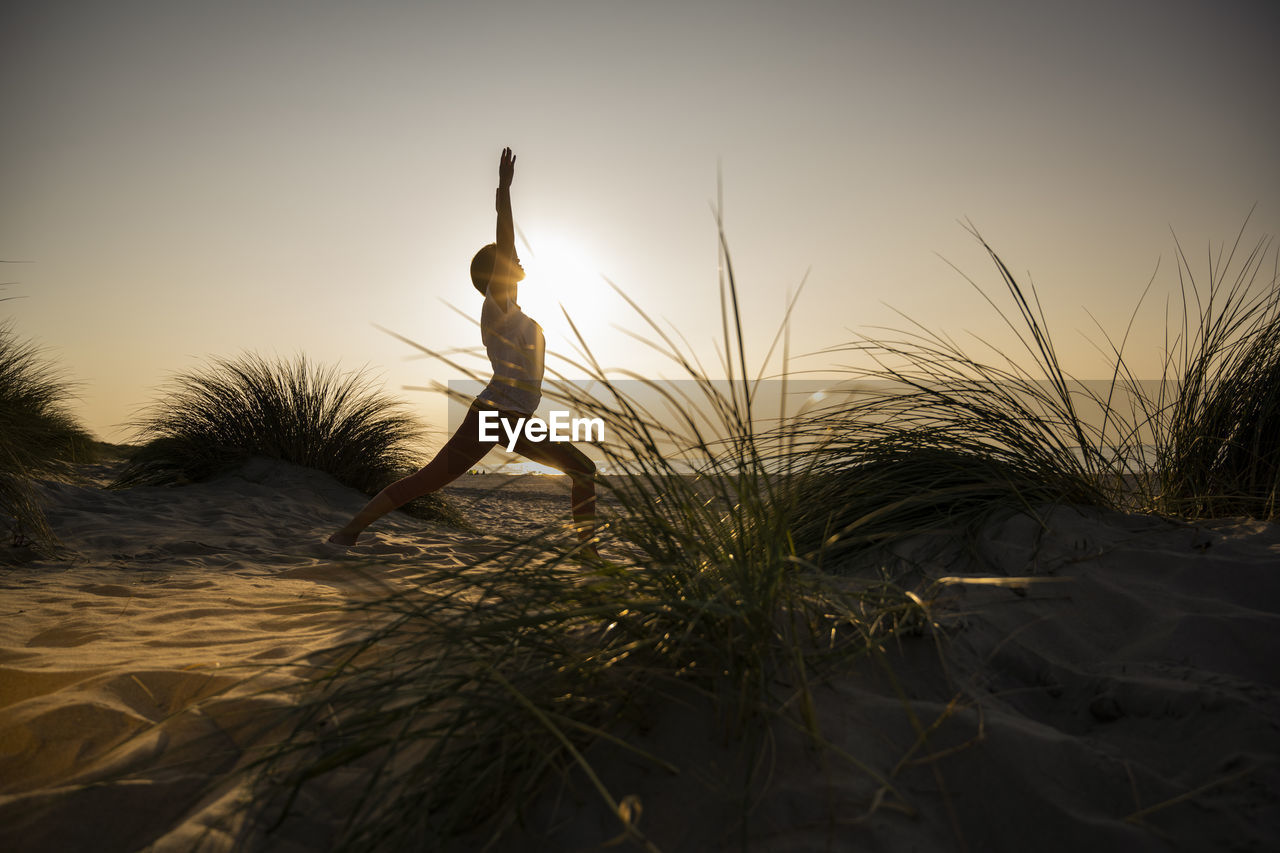 Silhouette young woman practicing warrior position yoga amidst plants at beach against clear sky during sunset