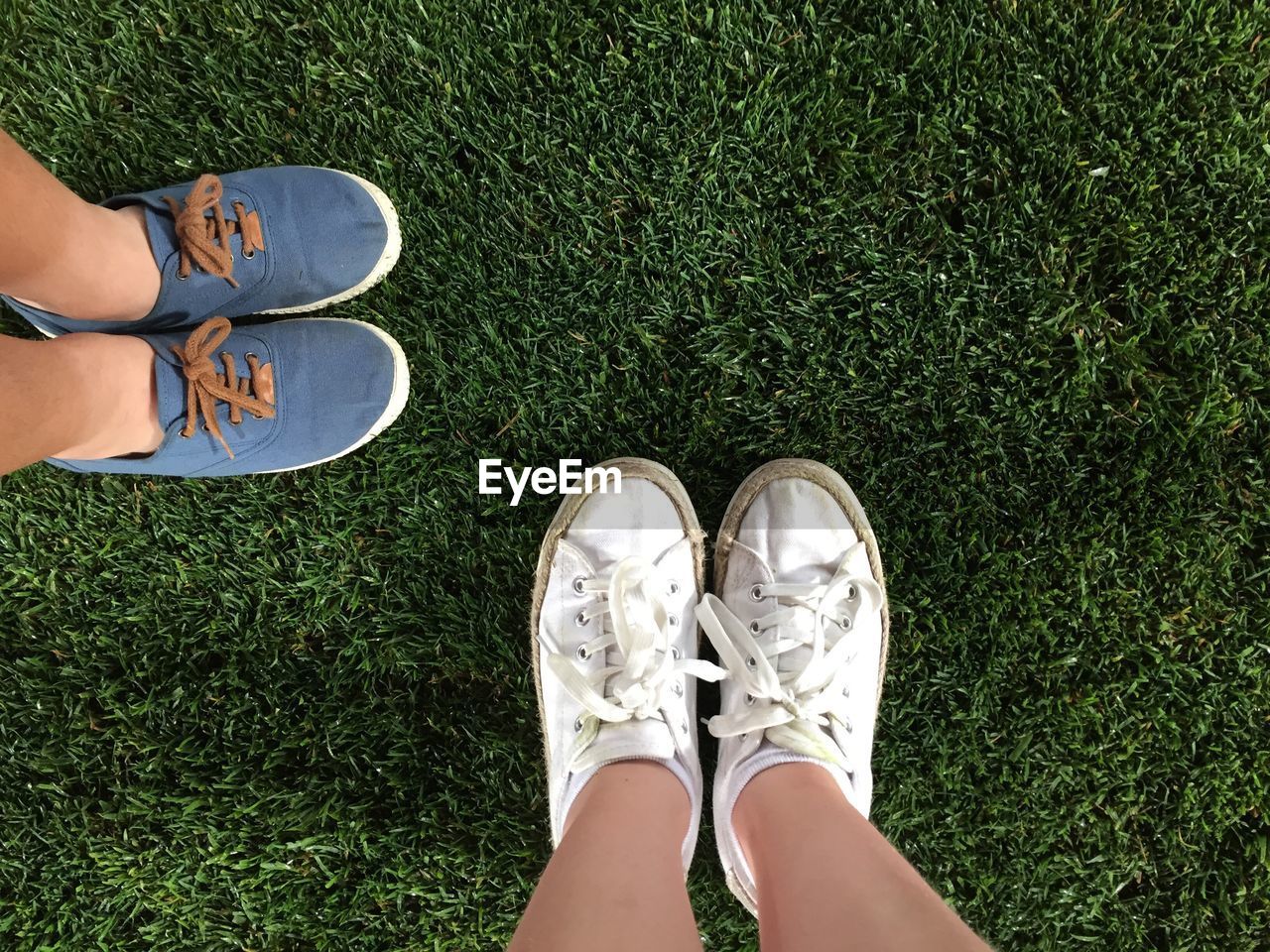 Low section of people standing on grass