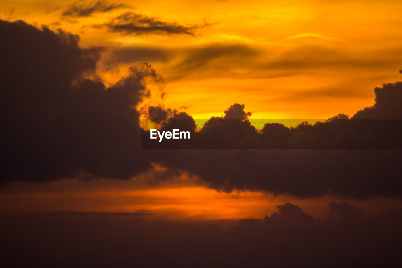 LOW ANGLE VIEW OF DRAMATIC SKY OVER SILHOUETTE TREES