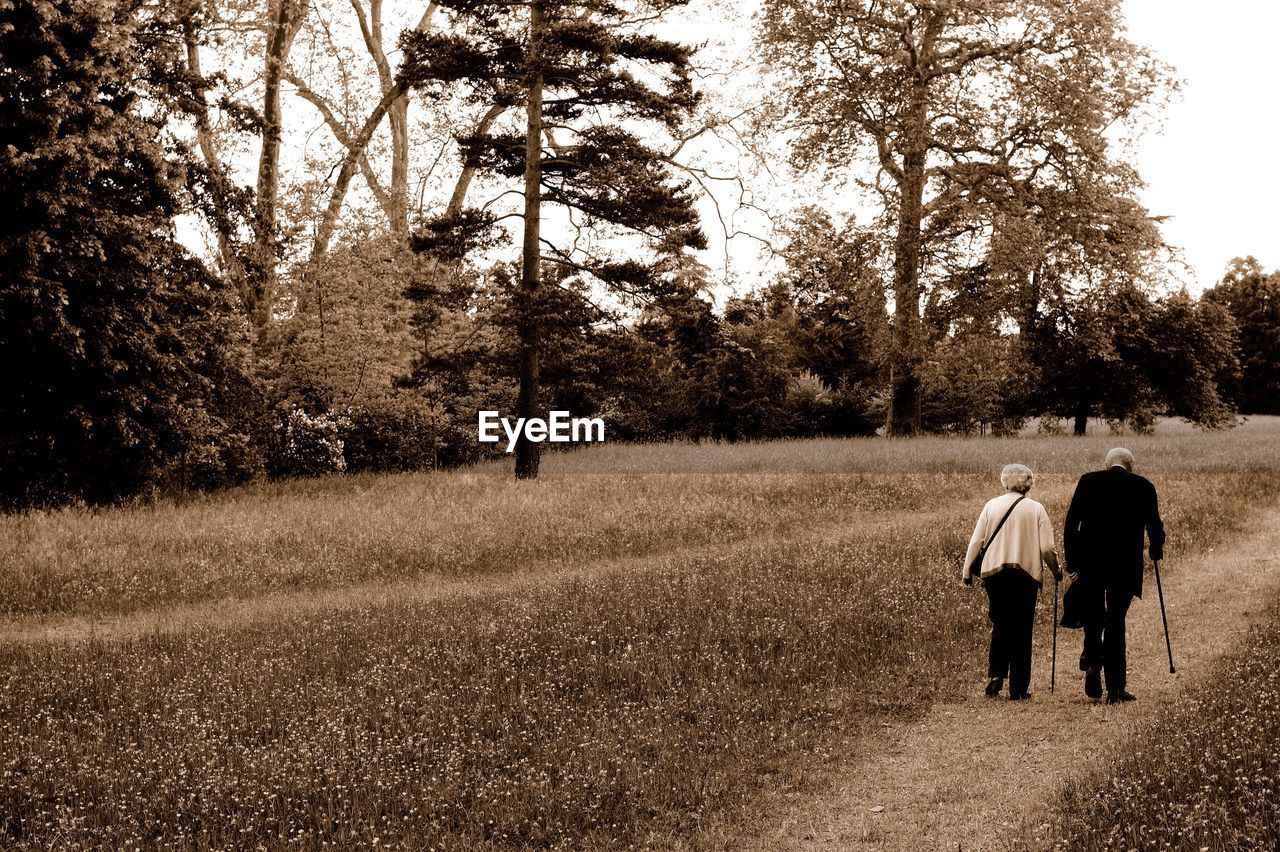 Rear view of couple walking on field