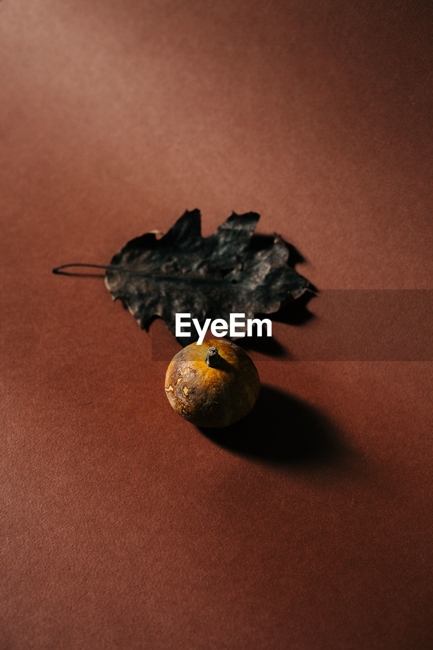 CLOSE-UP OF LADYBUG ON ORANGE