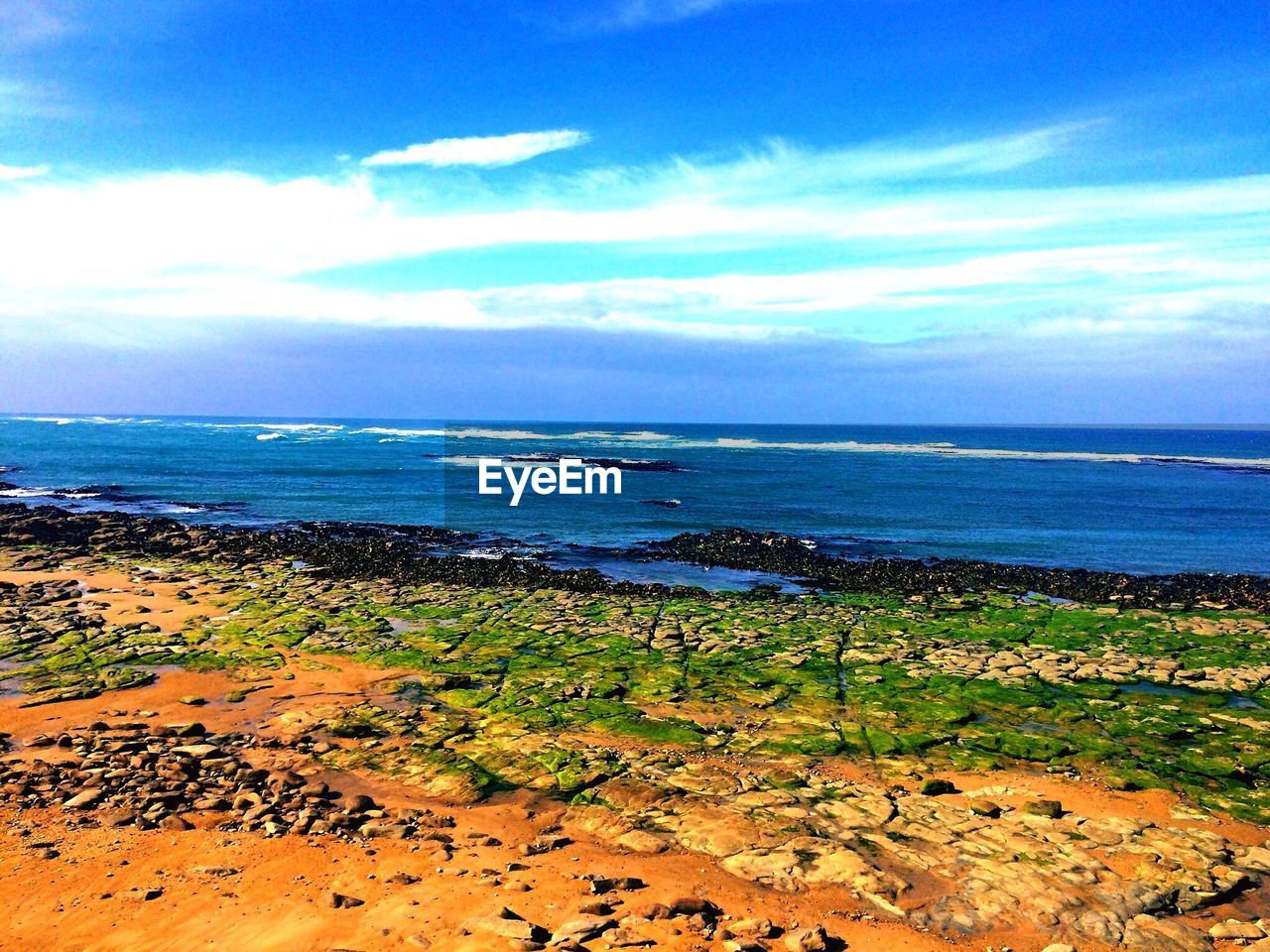 SCENIC VIEW OF BEACH