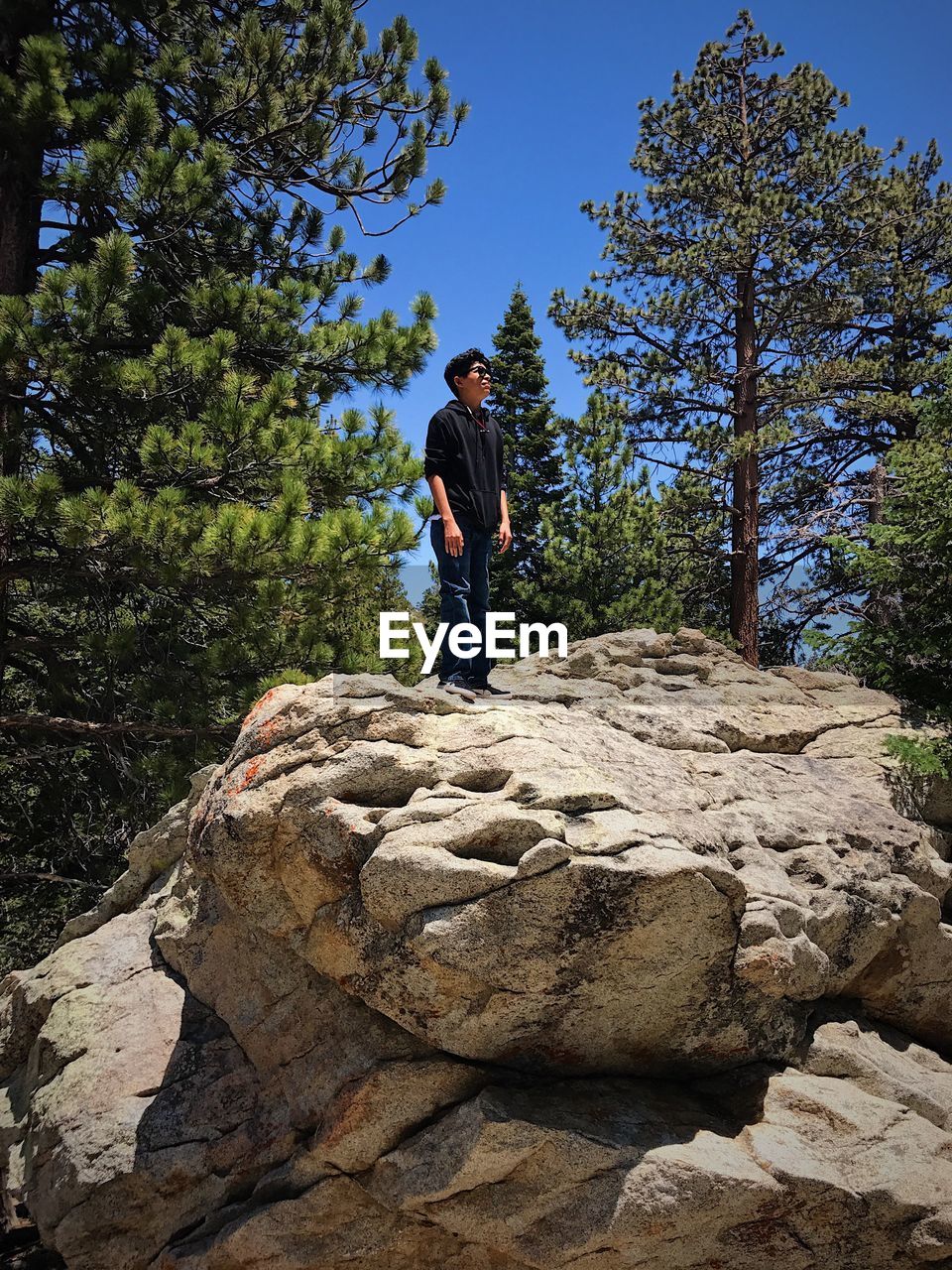 Full length of young man standing on rock at forest