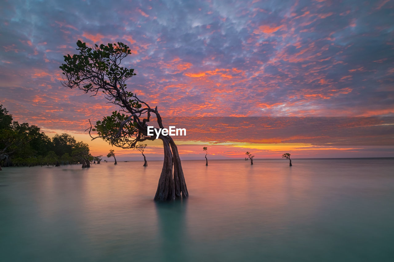 Scenic view of sea against orange sky