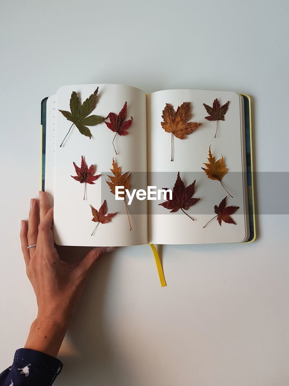 Cropped hand of woman arranging autumn leaves on book over white background