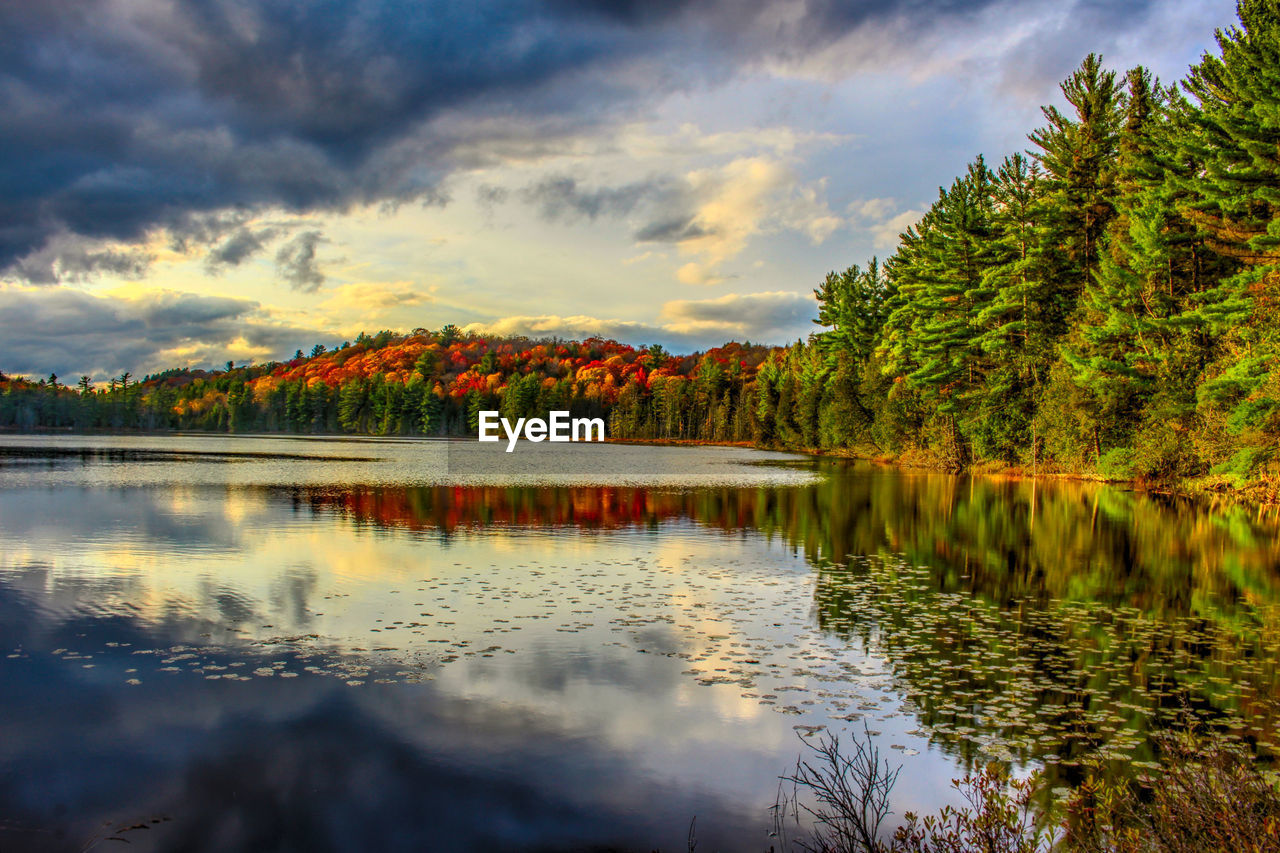 scenic view of lake by trees against sky