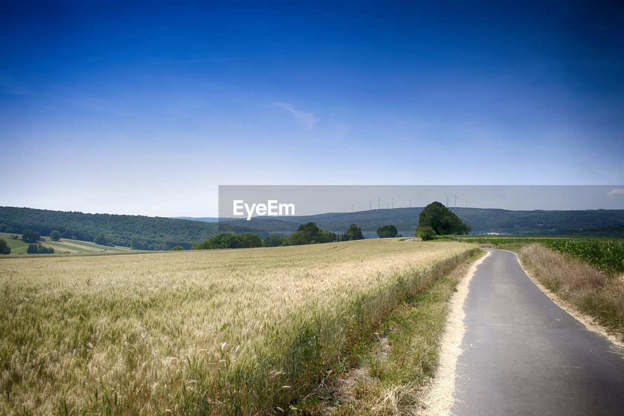 Scenic view of agricultural field against clear blue sky