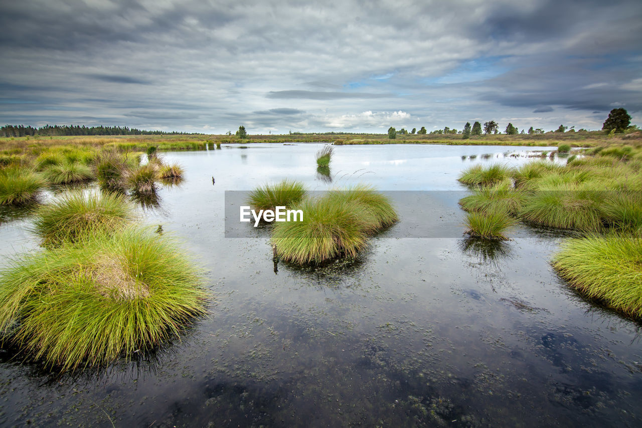 SCENIC VIEW OF LAKE