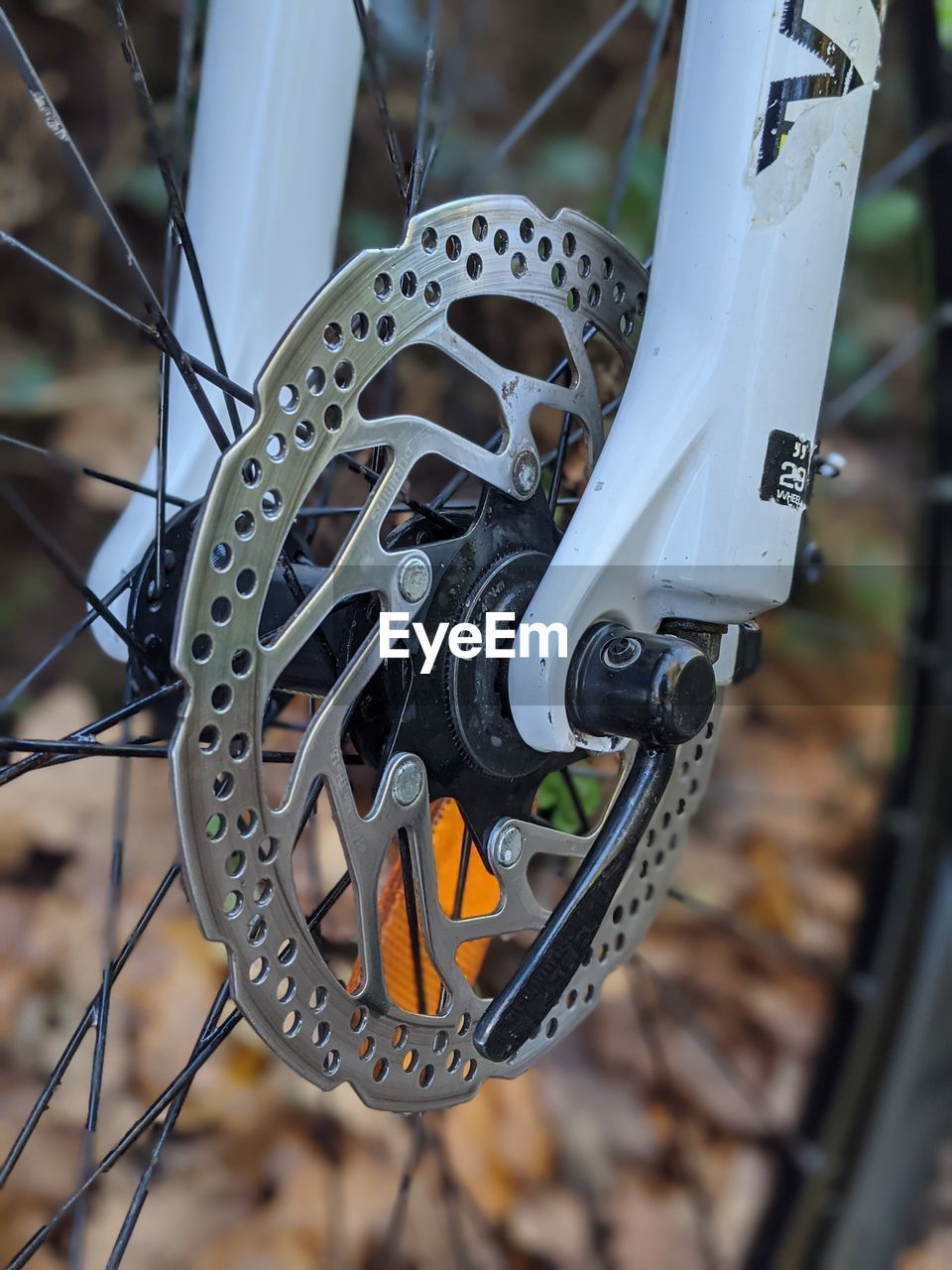 Close-up of bicycle wheel