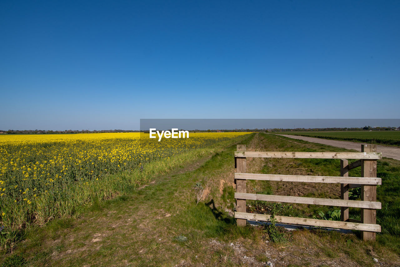 SCENIC VIEW OF FARM AGAINST CLEAR SKY