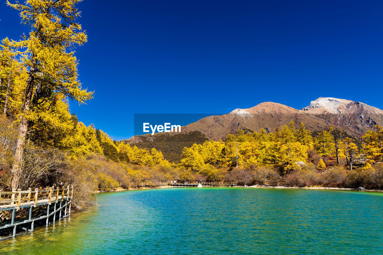 water, mountain, tree, scenics - nature, beauty in nature, nature, sky, plant, blue, lake, tranquil scene, tranquility, reflection, land, landscape, no people, clear sky, travel destinations, environment, autumn, body of water, mountain range, travel, forest, idyllic, day, non-urban scene, pinaceae, pine tree, outdoors, coniferous tree, sunny, pine woodland, tourism, sunlight