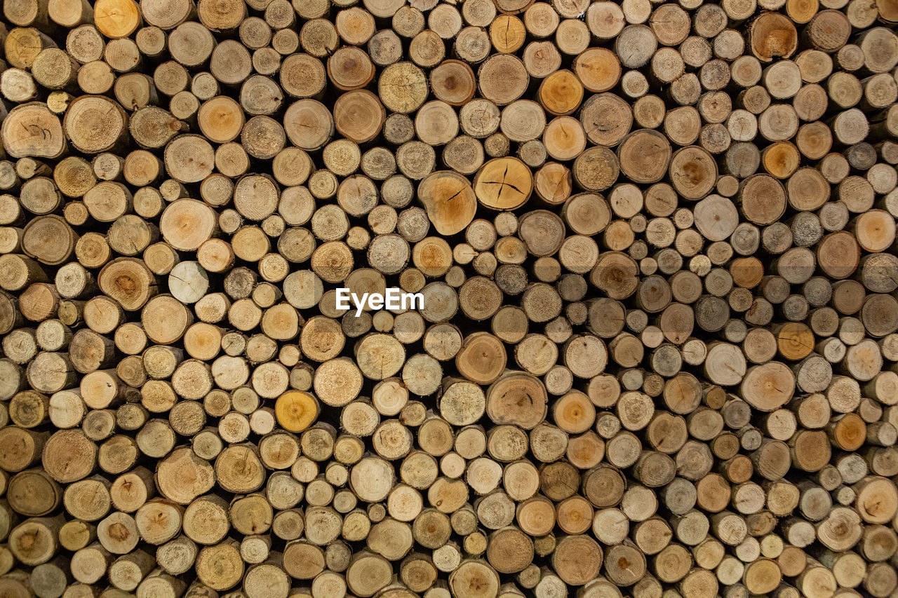 FULL FRAME SHOT OF LOGS ON LOG IN FOREST