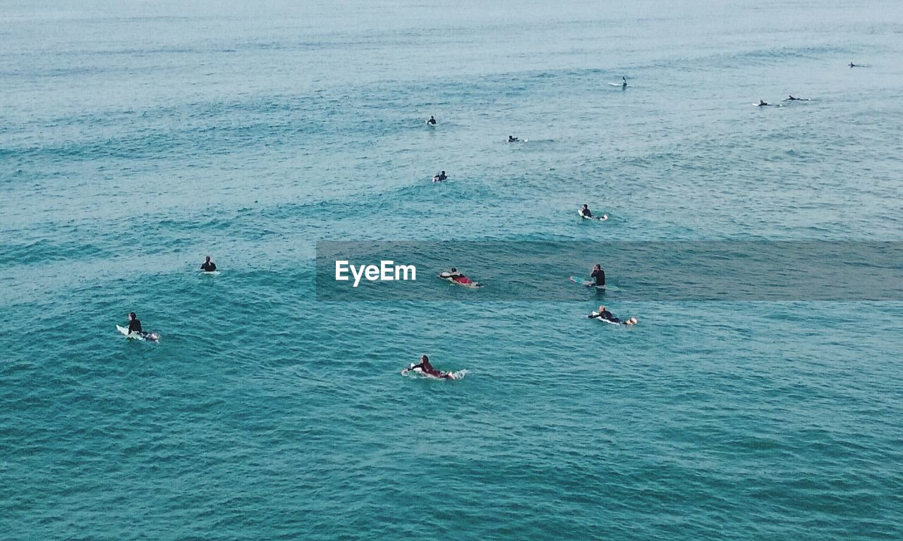 Scenic view of people surfing in sea