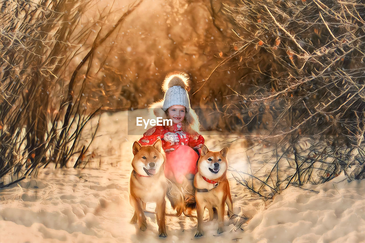 Cute smiling girl sitting on sled by dogs in snow covered forest