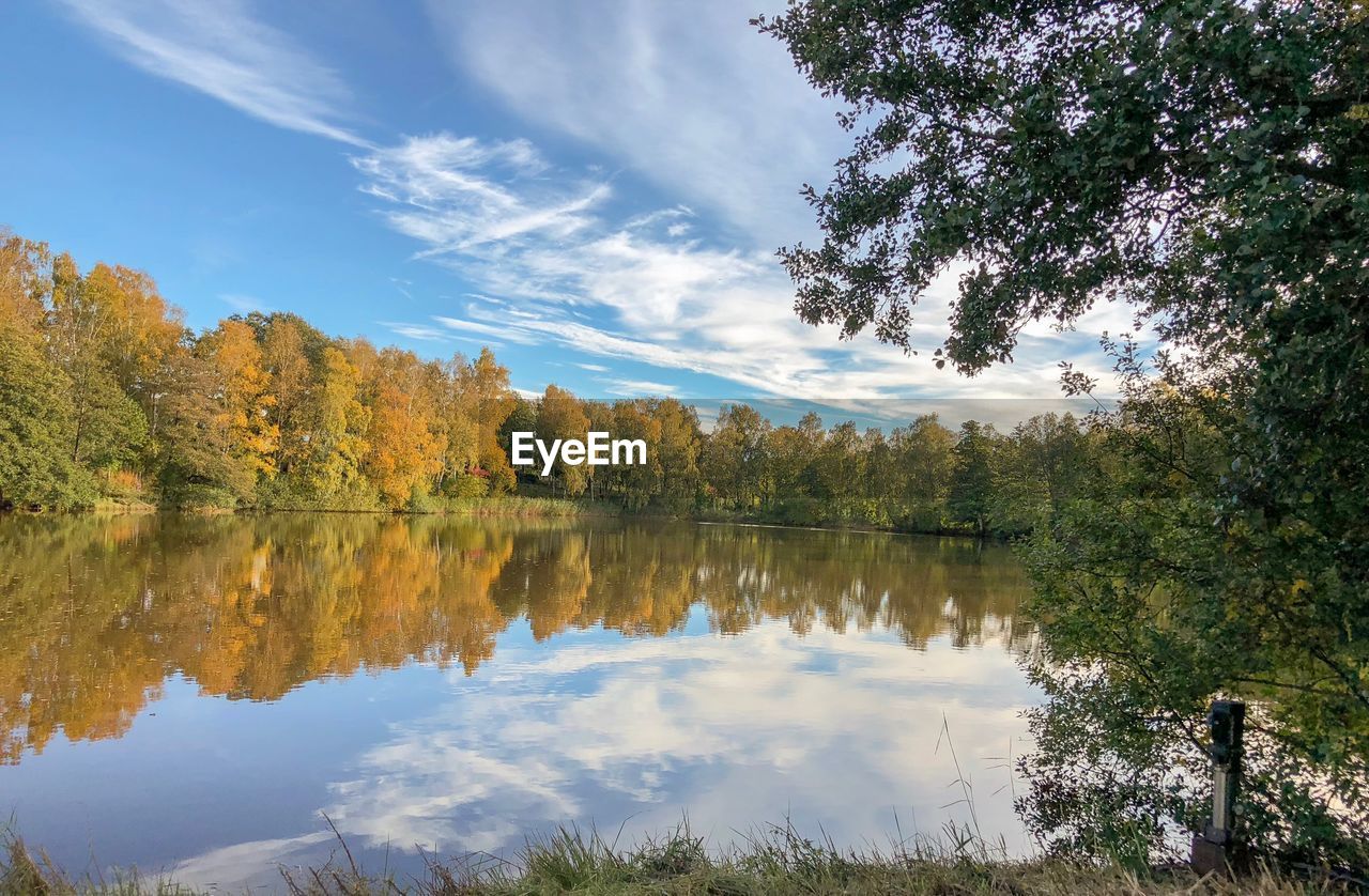 Reflection of trees in lake against sky