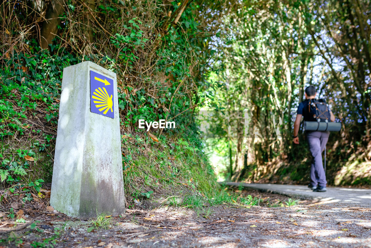 Signpost of saint james way with unrecognizable pilgrim walking in the background