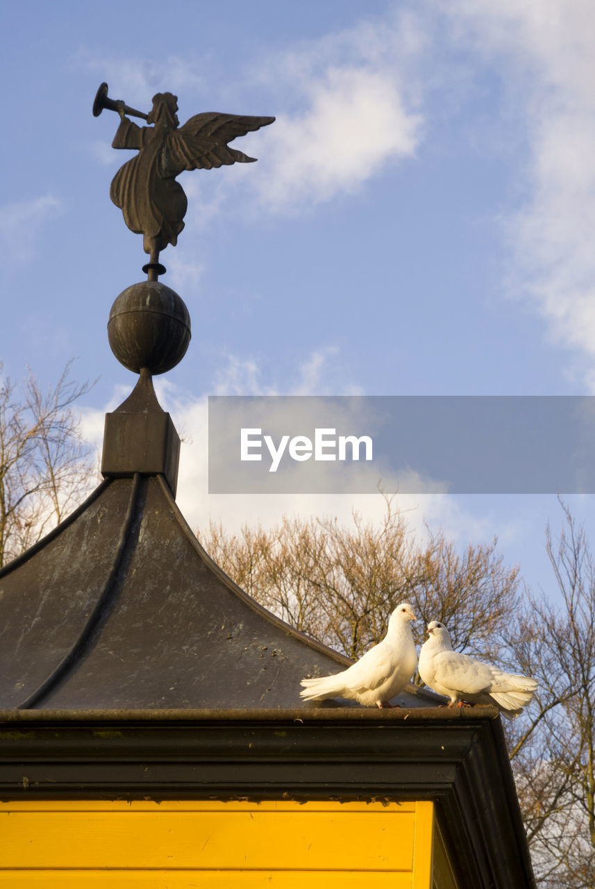 LOW ANGLE VIEW OF BIRD ON STATUE AGAINST SKY