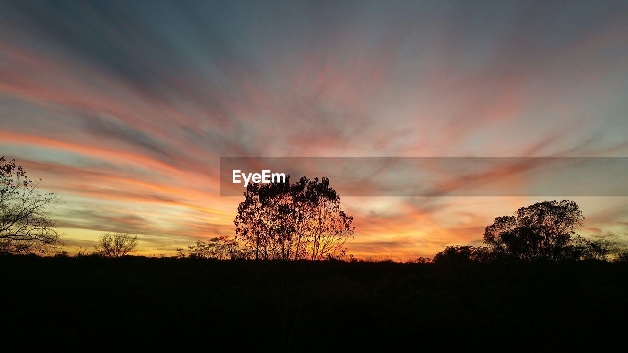 Low angle view of silhouette trees against cloudy sky during sunset