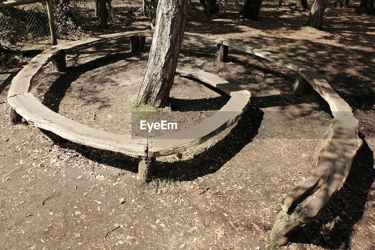 High angle view of trees surrounded by spiral bench on sunny day