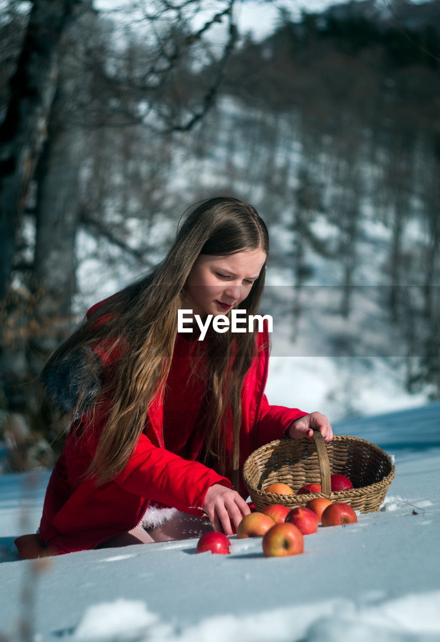 Girl picking apples on snow covered land