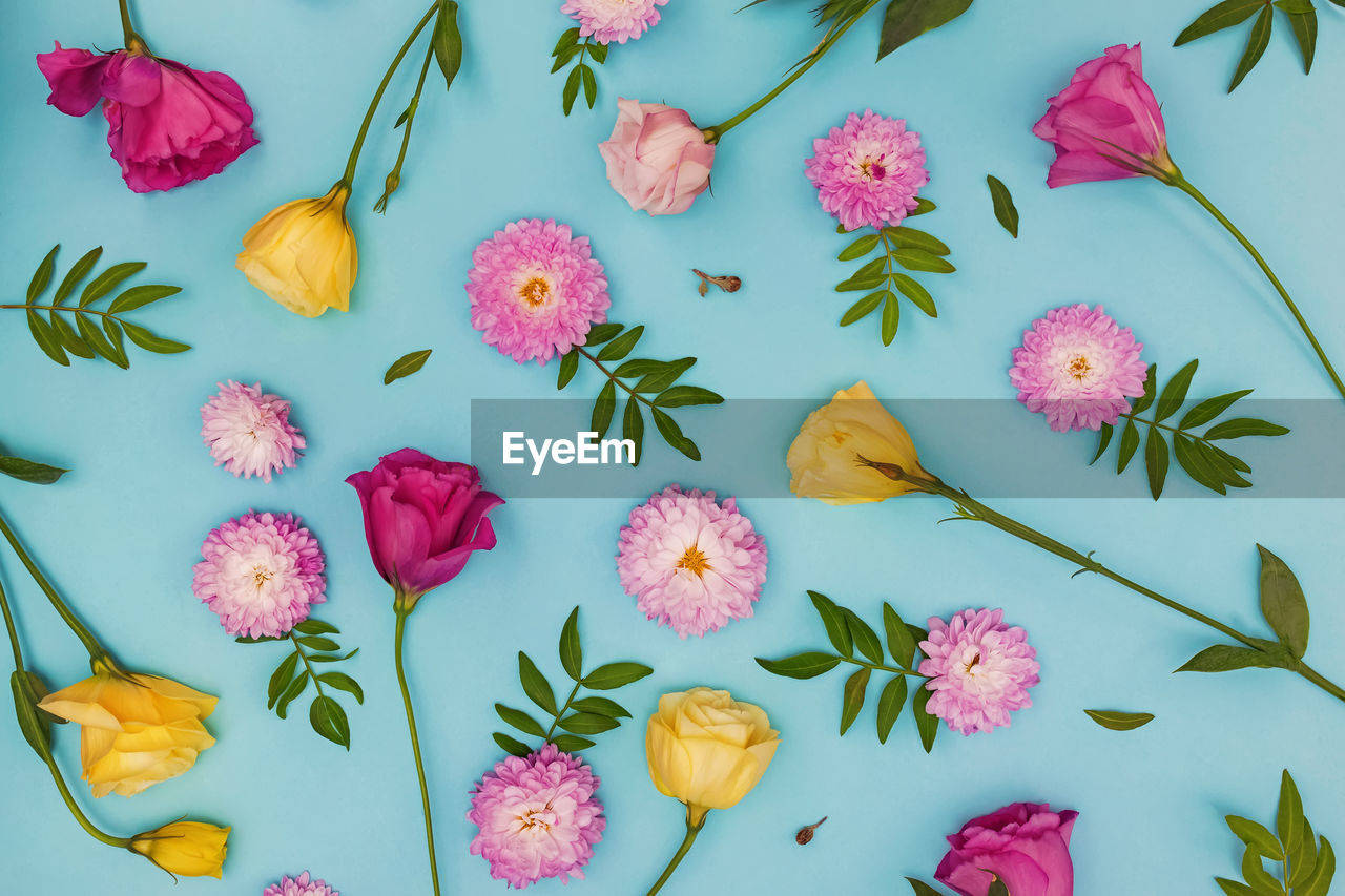 Creative flat lay composition with flowers, leaves and petals. floral background, botanic backdrop.