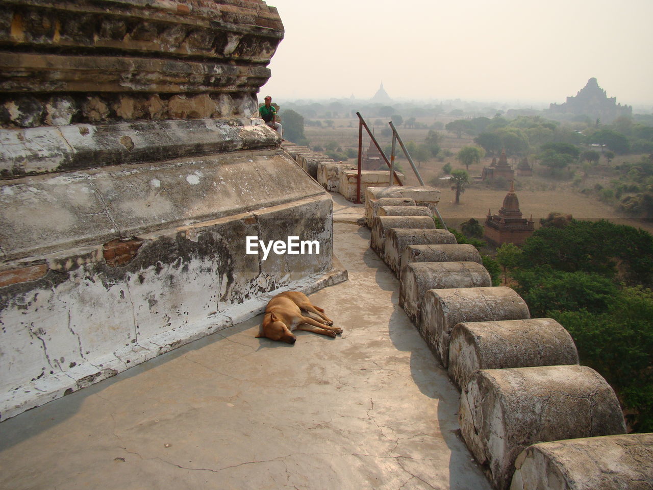 CAT ON BUILT STRUCTURE