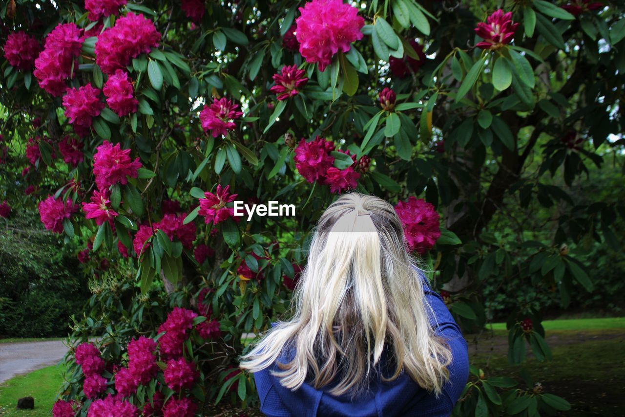 Rear view of young woman standing by trees in park