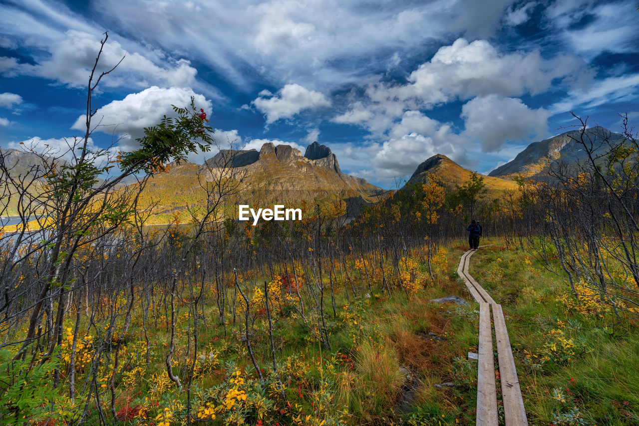 Hiking trail in senja, norway