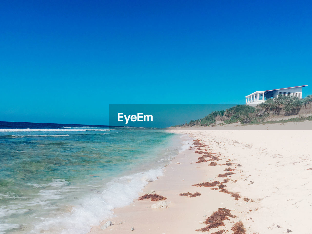 SCENIC VIEW OF BEACH AGAINST CLEAR SKY