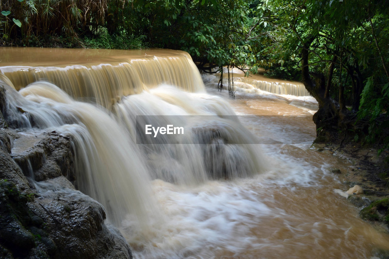 VIEW OF WATERFALL IN FOREST