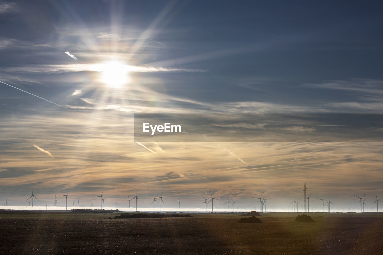 Scenic view of field against bright sun