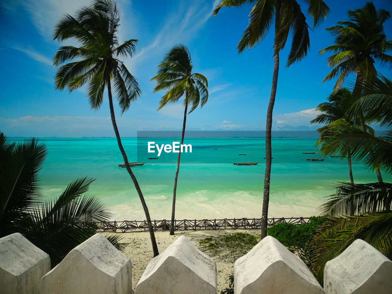 PALM TREES BY SWIMMING POOL AGAINST SEA