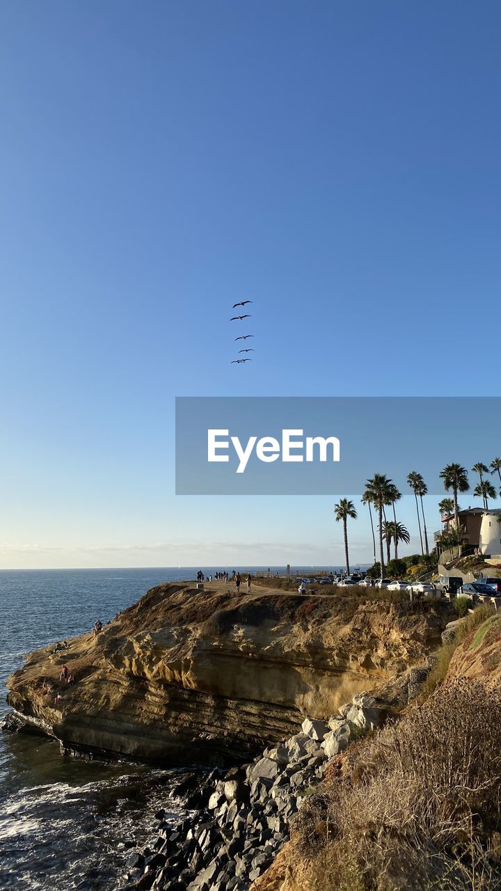 SCENIC VIEW OF BEACH AGAINST CLEAR SKY