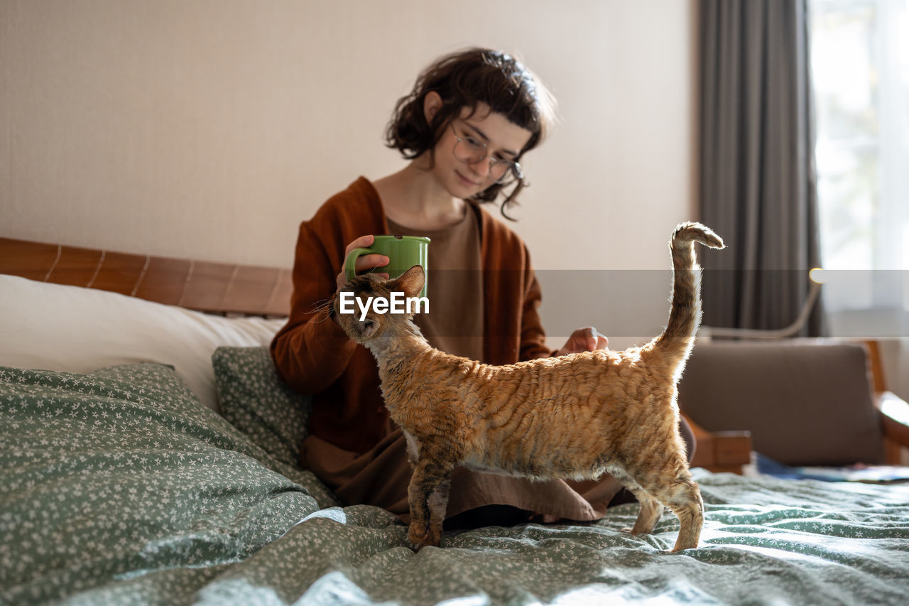 Cat begging attention and food petting of teen girl owner hand in bed at home.