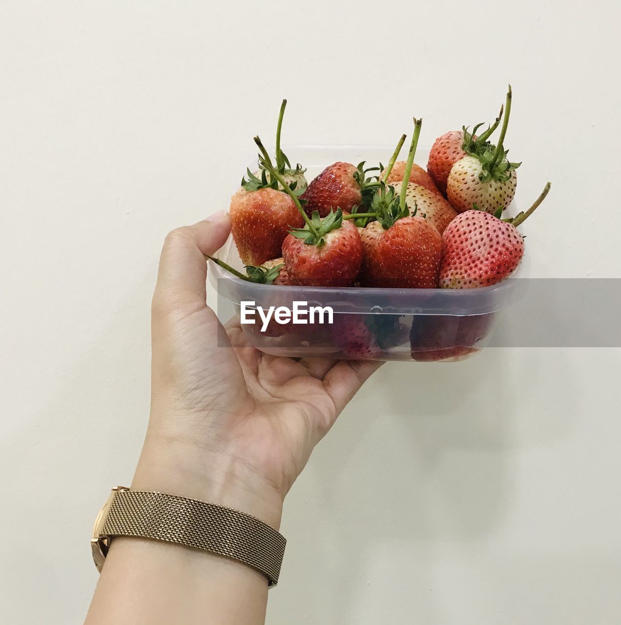 CLOSE-UP OF HAND HOLDING FRUITS