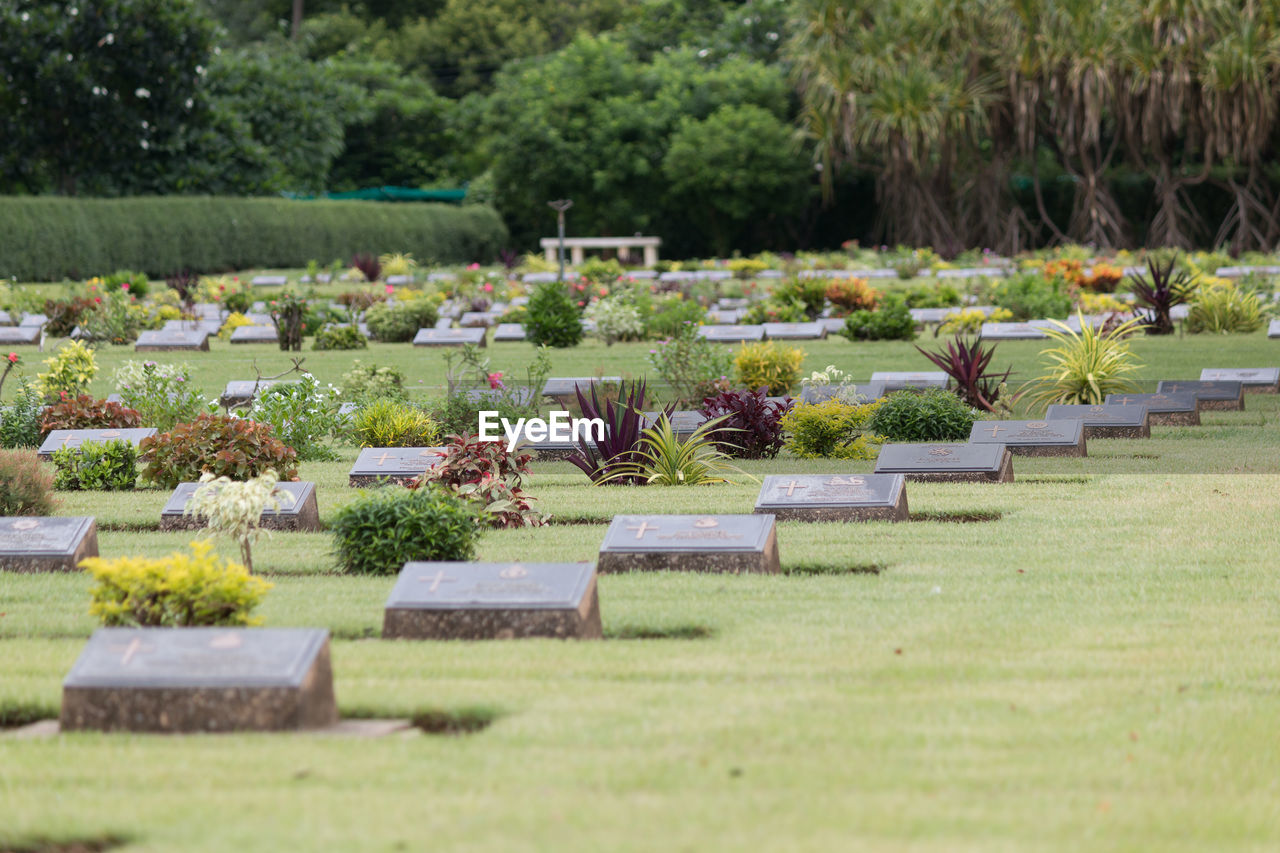 View of cemetery at garden