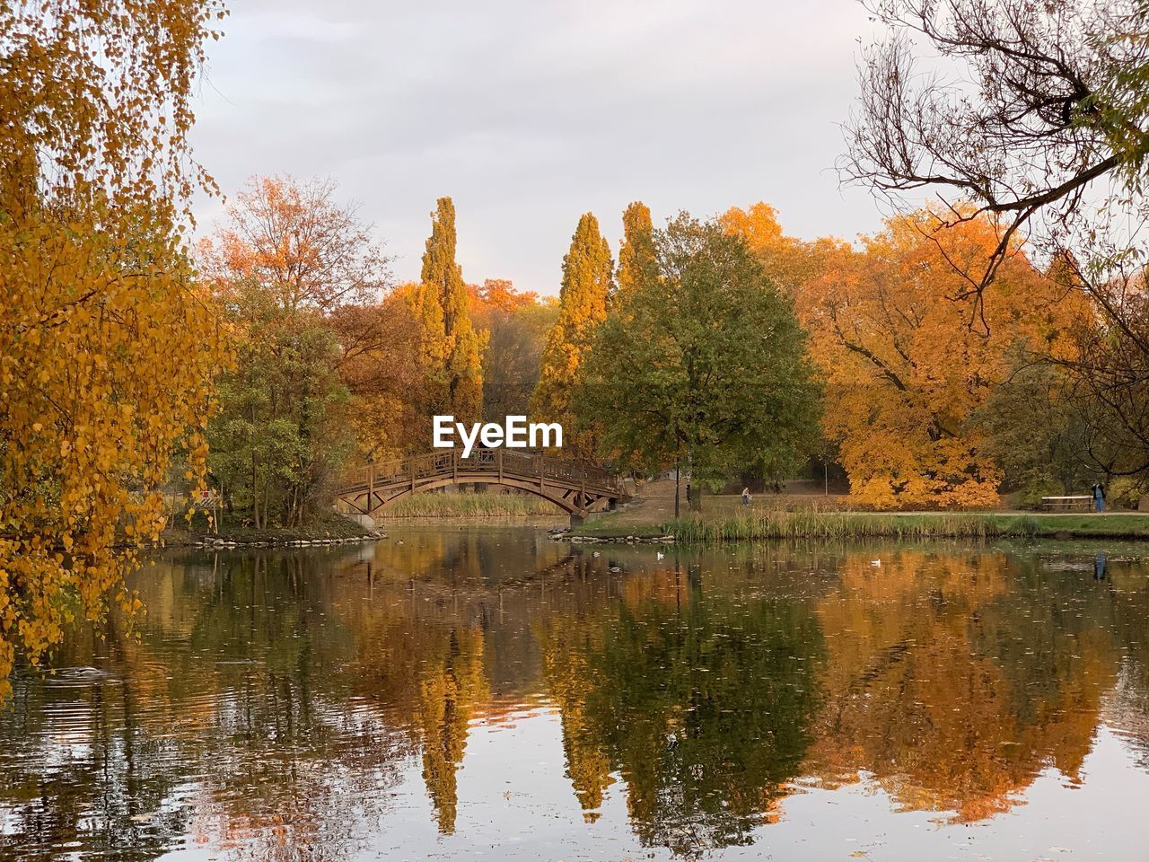 Scenic view of lake by trees during autumn against sky